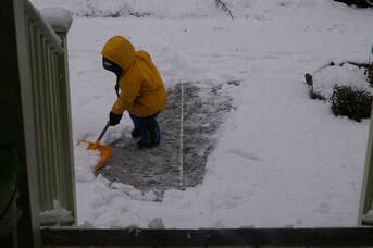 Picture of young boy shoveling snow.