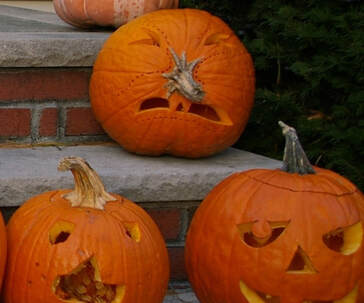Pumpkins carved with one using stem for nose.